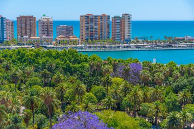 İspanyol kenti Malaga 'da Paseo del Park' ın hava manzarası