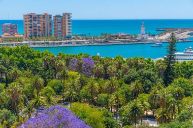 İspanyol kenti Malaga 'da Paseo del Park' ın hava manzarası