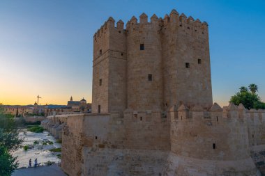 İspanyol şehri Cordoba 'daki La mezquita katedrali ve kalahorra kulesiyle Guadalquivir nehri üzerindeki aydınlatılmış Roma köprüsünün gece görüşü.