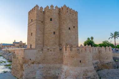 İspanyol şehri Cordoba 'daki La mezquita katedrali ve kalahorra kulesiyle Guadalquivir nehri üzerindeki aydınlatılmış Roma köprüsünün gece görüşü.