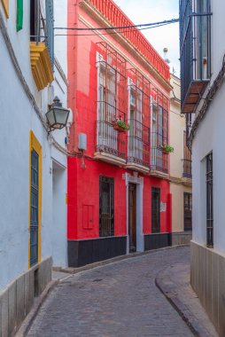 İspanya 'nın eski Cordoba şehrindeki Beyazyıkanmış cadde