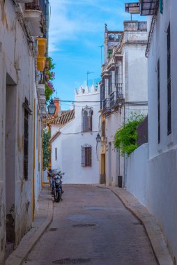 İspanya 'nın eski Cordoba şehrindeki Beyazyıkanmış cadde