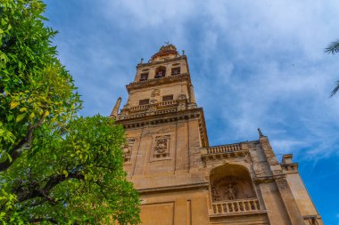 İspanyol şehri Sevilla 'daki mezquita katedralinin Torre del Alminar Çan Kulesi