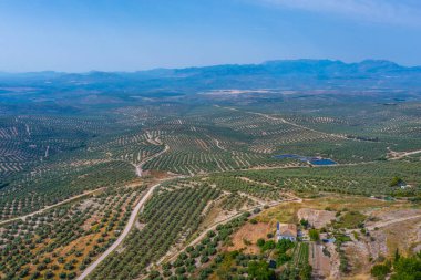 İspanya 'nın Ubeda kasabası yakınlarındaki Endülüs manzarası
