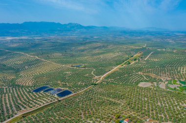 İspanya 'nın Ubeda kasabası yakınlarındaki Endülüs manzarası