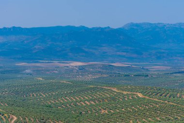 İspanya 'nın Ubeda kasabası yakınlarındaki Endülüs manzarası