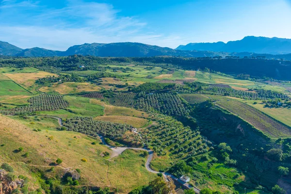 Platteland Van Andalusië Bij Ronda Spanje — Stockfoto