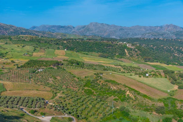 Endülüs kırsalında, İspanya 'da Ronda yakınlarında.