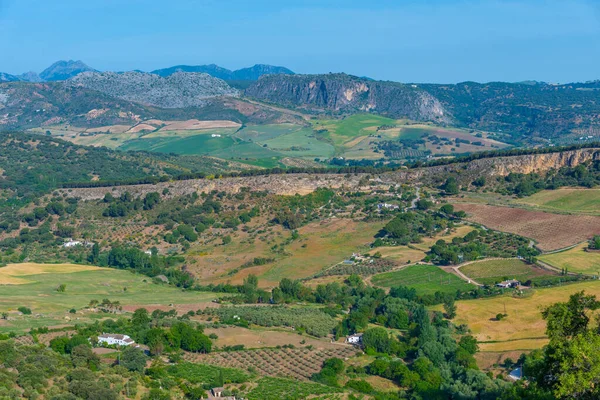 Platteland Van Andalusië Bij Ronda Spanje — Stockfoto