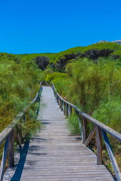 İspanya 'daki Playa de Bolonia Doğal Parkı