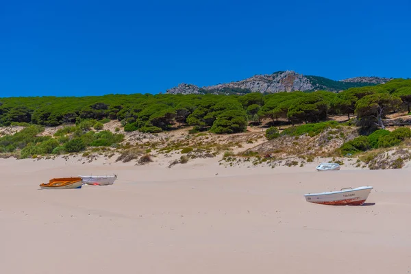 Barcos Pesca Playa Bolonia Província Andaluzia Espanha — Fotografia de Stock