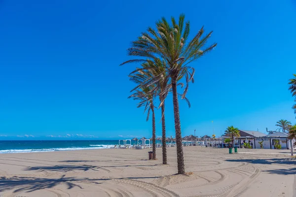 Palmy Playa Venus Marbella Hiszpania — Zdjęcie stockowe