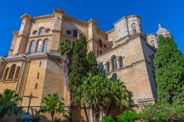 Malaga Daki Enkarnasyon Katedralinin Görüntüsü — Stok fotoğraf