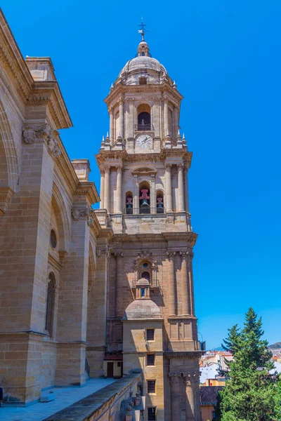 Belltower Katedralen Spanska Staden Malaga — Stockfoto