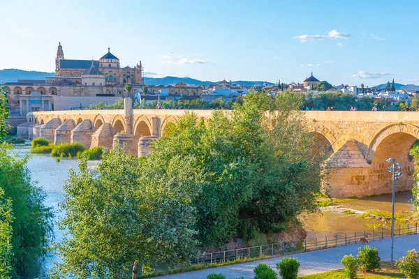 Gamla Romerska Bron Den Spanska Staden Cordoba Med Mezquita Katedralen — Stockfoto