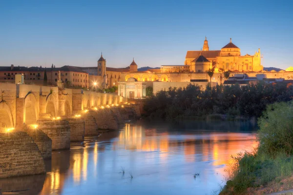 Sunset view of the old roman bridge in the spanish city cordoba with the la mezquita cathedral on horizon