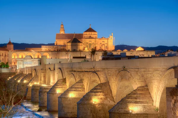 İspanya 'nın Cordoba şehrinde, ufukta La mezquita katedrali olan eski Roma köprüsünün günbatımı manzarası.