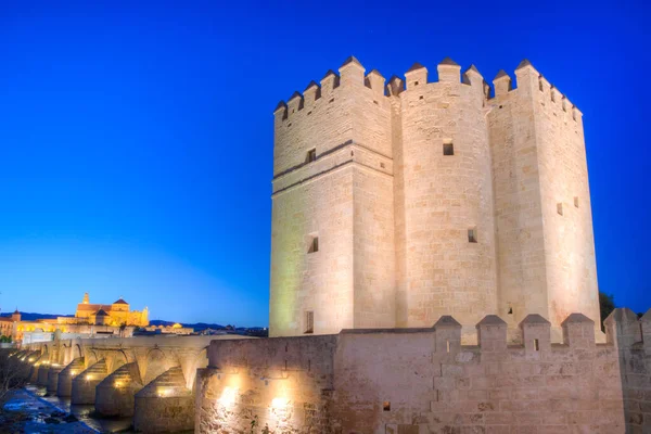 İspanyol şehri Cordoba 'daki La mezquita katedrali ve kalahorra kulesiyle Guadalquivir nehri üzerindeki aydınlatılmış Roma köprüsünün gece görüşü.
