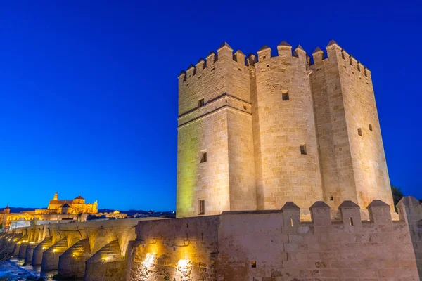 İspanyol şehri Cordoba 'daki La mezquita katedrali ve kalahorra kulesiyle Guadalquivir nehri üzerindeki aydınlatılmış Roma köprüsünün gece görüşü.