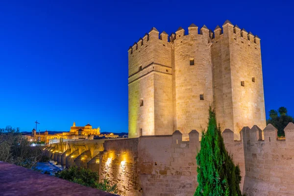 İspanyol şehri Cordoba 'daki La mezquita katedrali ve kalahorra kulesiyle Guadalquivir nehri üzerindeki aydınlatılmış Roma köprüsünün gece görüşü.