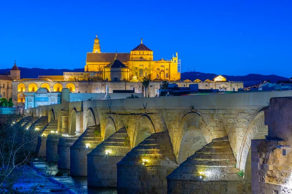 İspanya 'nın Cordoba şehrinde, ufukta La mezquita katedrali olan eski Roma köprüsünün günbatımı manzarası.