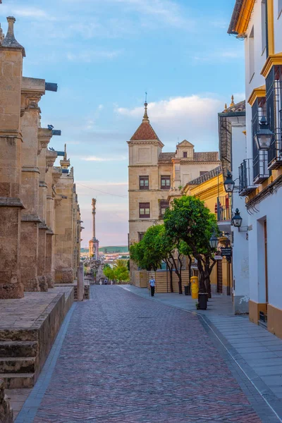 İspanya 'nın Cordoba şehrindeki La Mezquita katedralinin yanındaki caddede.