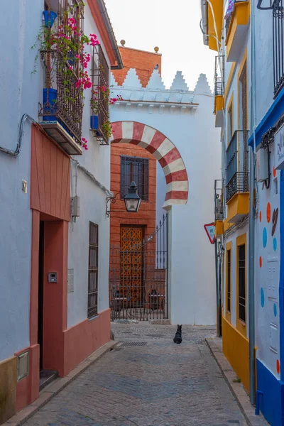 스페인의 도시인 코르도바의 하얗게칠 — 스톡 사진
