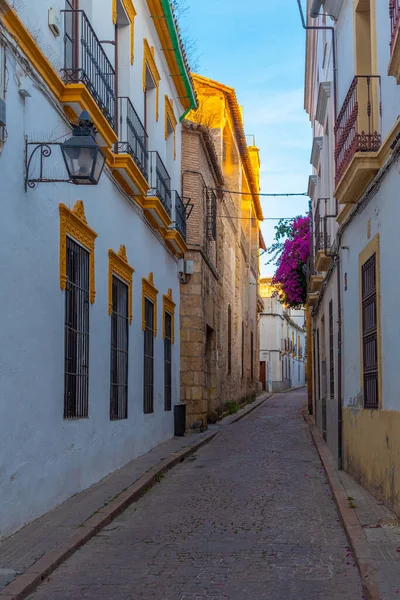 İspanya 'nın eski Cordoba şehrindeki Beyazyıkanmış cadde