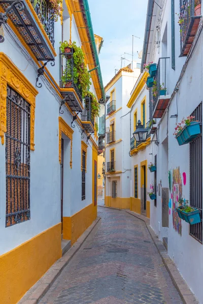 İspanya 'nın eski Cordoba şehrindeki Beyazyıkanmış cadde