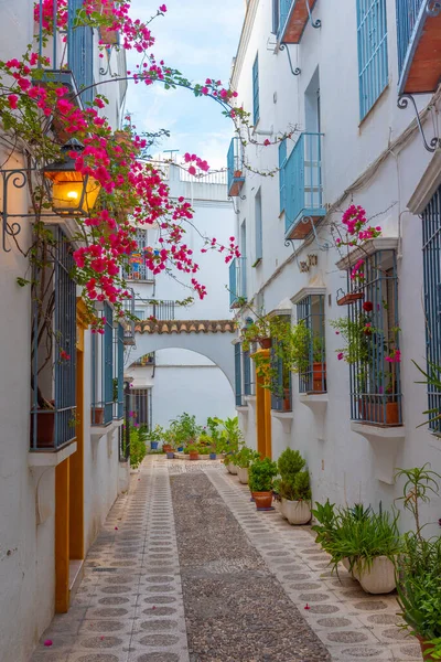 İspanyol şehri Cordoba 'nın Yahudi mahallesinin beyaz yıkanmış sokakları