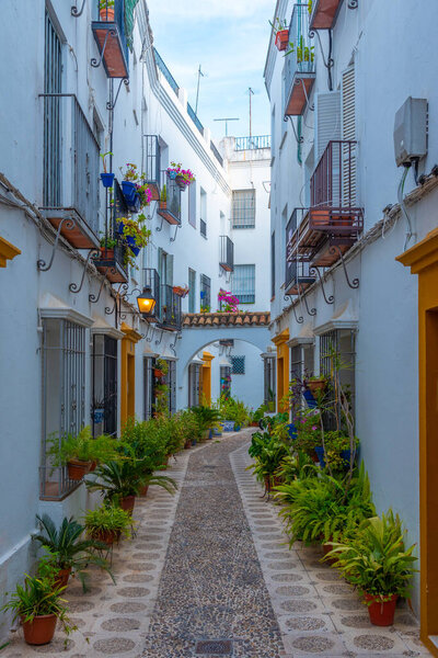 whitewashed streets of the jewish quarter of the spanish city cordoba