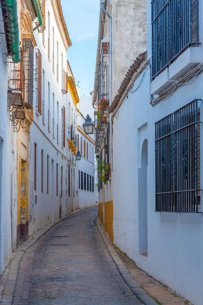 İspanyol şehri Cordoba 'nın Yahudi mahallesinin beyaz yıkanmış sokakları