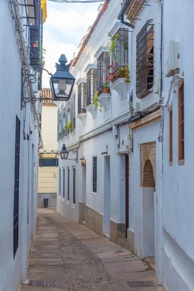 İspanyol şehri Cordoba 'nın Yahudi mahallesinin beyaz yıkanmış sokakları