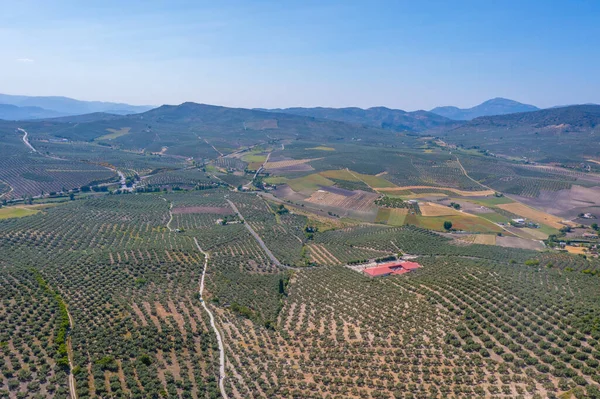 Alcala la Real kasabası yakınlarındaki Endülüs manzarası, İspanya