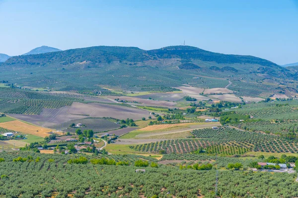 Alcala la Real kasabası yakınlarındaki Endülüs manzarası, İspanya