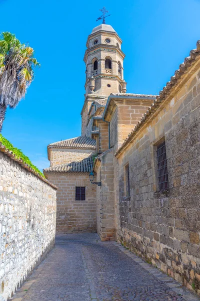 İspanya 'daki Baeza Katedrali manzarası