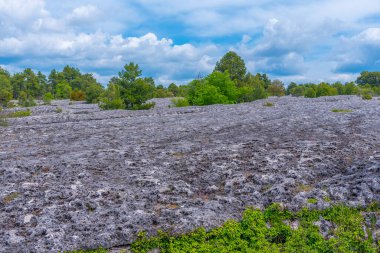 İspanyol kenti Cuenca yakınlarında Ciudad Encantada kaya oluşumları