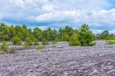 İspanyol kenti Cuenca yakınlarında Ciudad Encantada kaya oluşumları