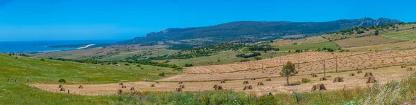 カディスとタリファの間のアンダルシアの風景 スペイン — ストック写真