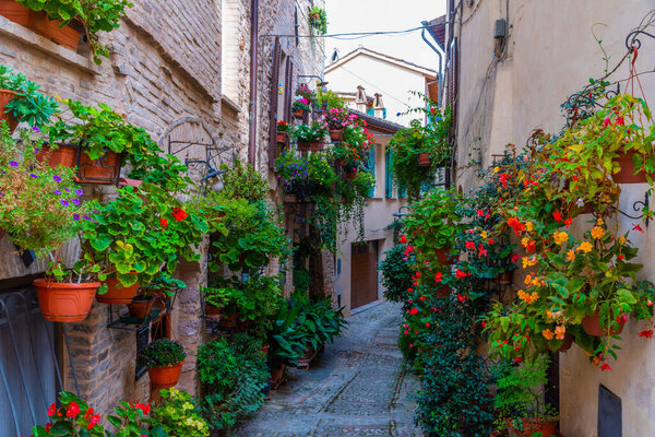Narrow street in the old town of Spello in Italy.
