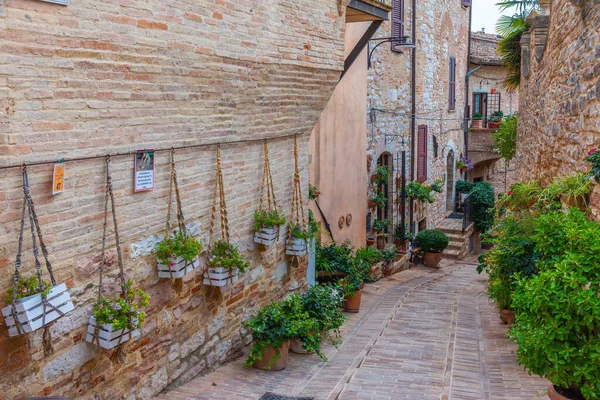 Narrow Street Old Town Spello Italy — Stock Photo, Image