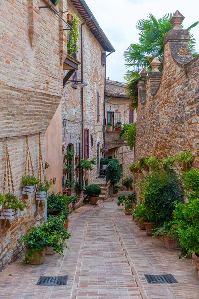 Narrow Street Old Town Spello Italy — Stock Photo, Image