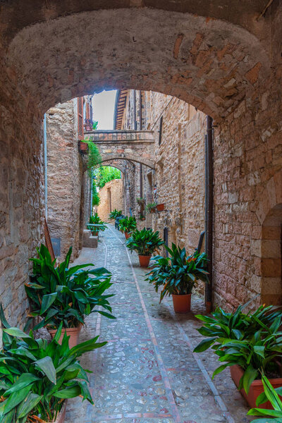 Narrow street in the old town of Spello in Italy.