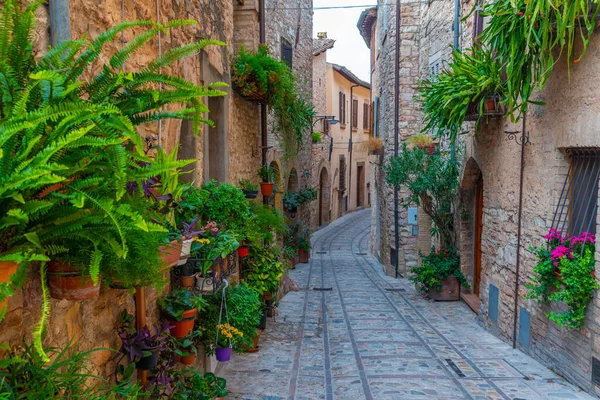 Smalle Straat Het Oude Centrum Van Spello Italië — Stockfoto