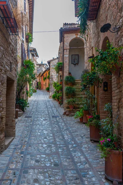 Smalle Straat Het Oude Centrum Van Spello Italië — Stockfoto