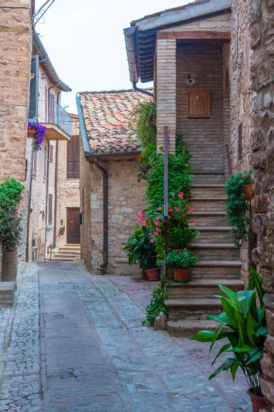 Narrow Street Old Town Spello Italy — Stock Photo, Image