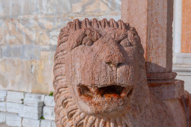 İtalya 'nın Ancona katedralinde aslan heykeli.