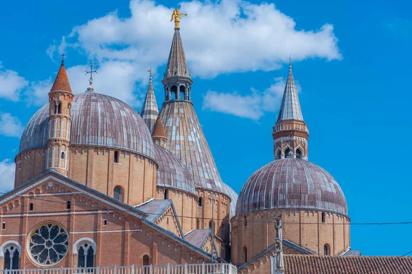 Basilica Sant Antonio Italian Town Padua — ストック写真