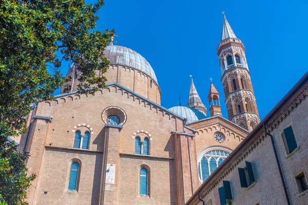 Basilica Sant Antonio Italian Town Padua — ストック写真