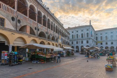 Padua, İtalya, 30 Ağustos 2021: İtalyan Padua kasabasında Piazza delle Erbe Meydanı.
